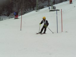 Hesselbach 2006